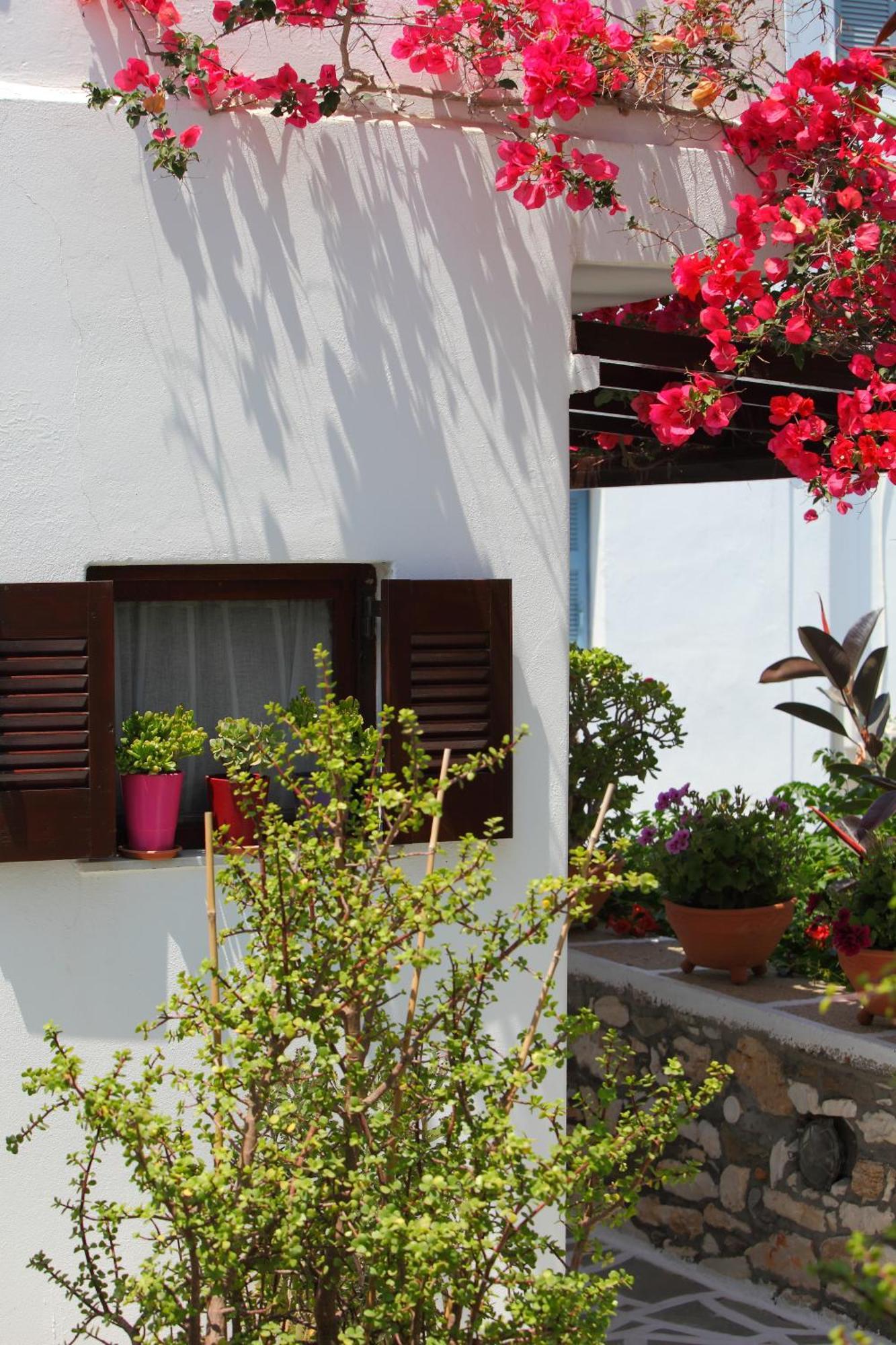Pension Anna Zambujeira do Mar Dış mekan fotoğraf